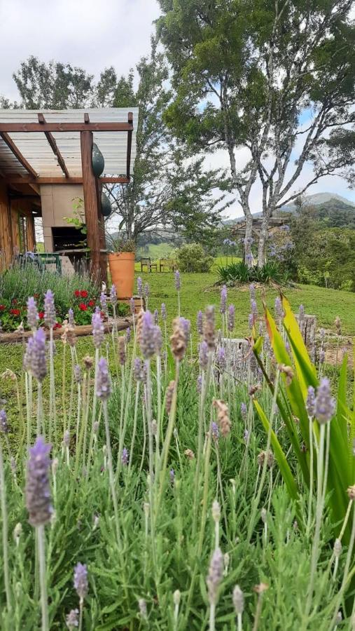 Sitio Recanto Da Guarda - Cabana Araucaria 봉헤찌로 외부 사진