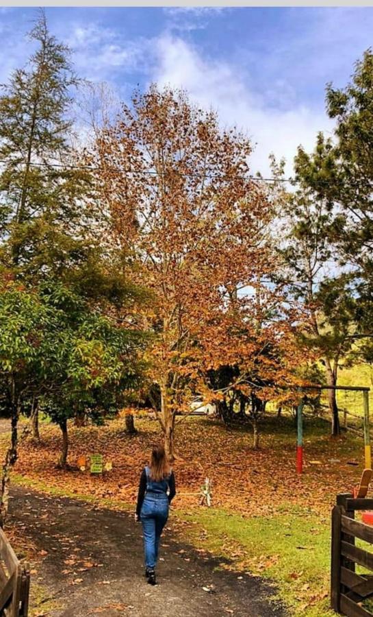 Sitio Recanto Da Guarda - Cabana Araucaria 봉헤찌로 외부 사진